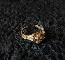 Load image into Gallery viewer, Root Ring - Bronze Organic Ring